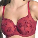 Bra Clearance