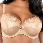 Underwire Seamed Lined