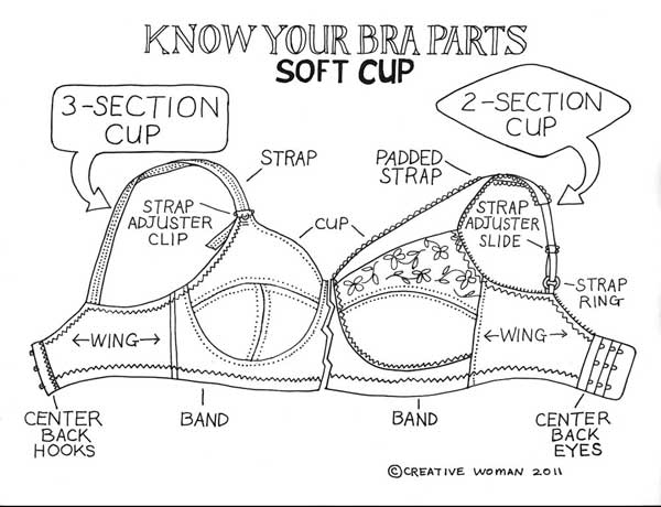 The Parts of a Bra